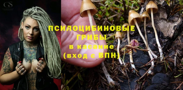 ALPHA-PVP Бутурлиновка